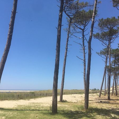 Appartement Spacieux Arcachon Eksteriør billede