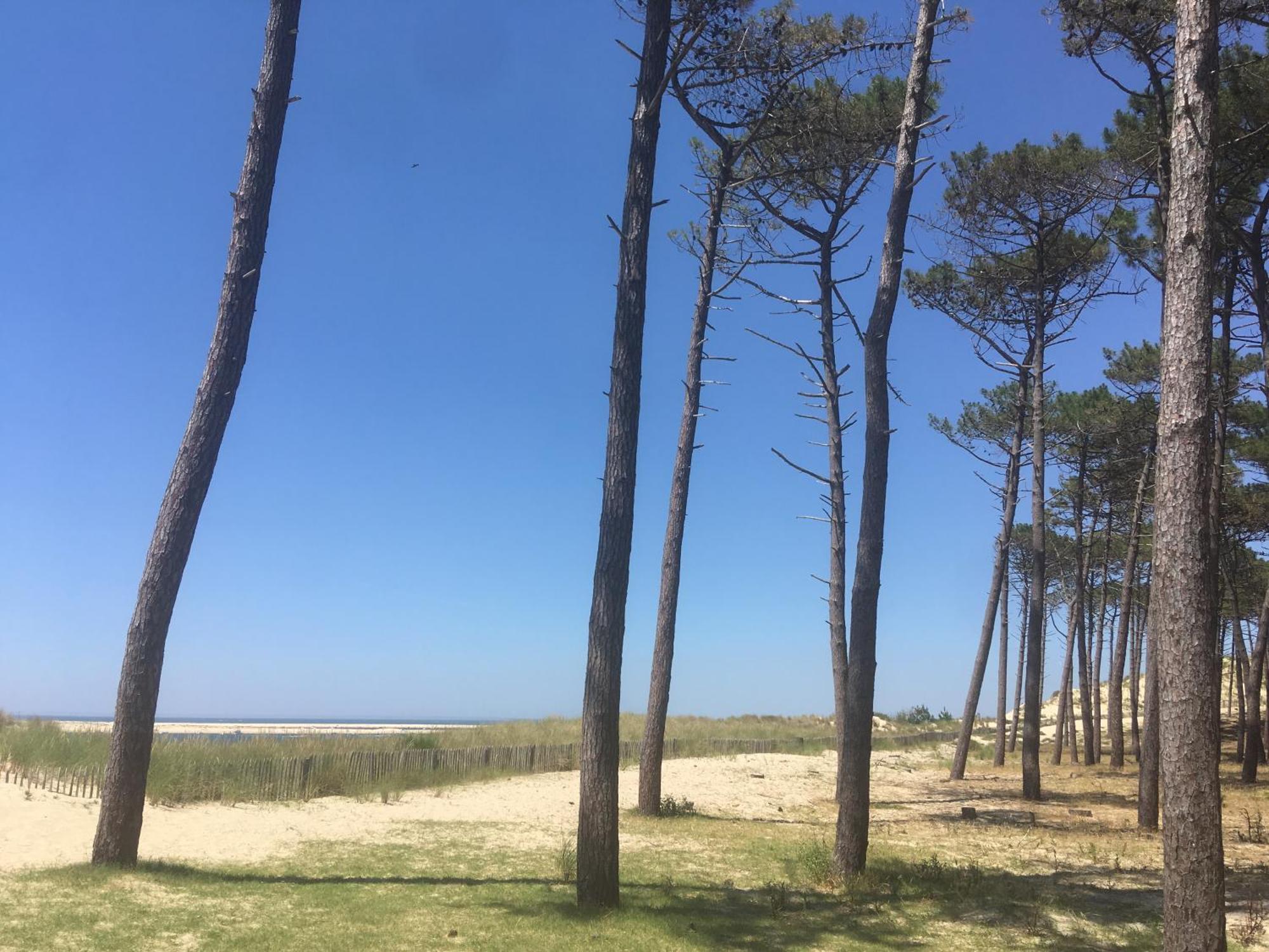 Appartement Spacieux Arcachon Eksteriør billede