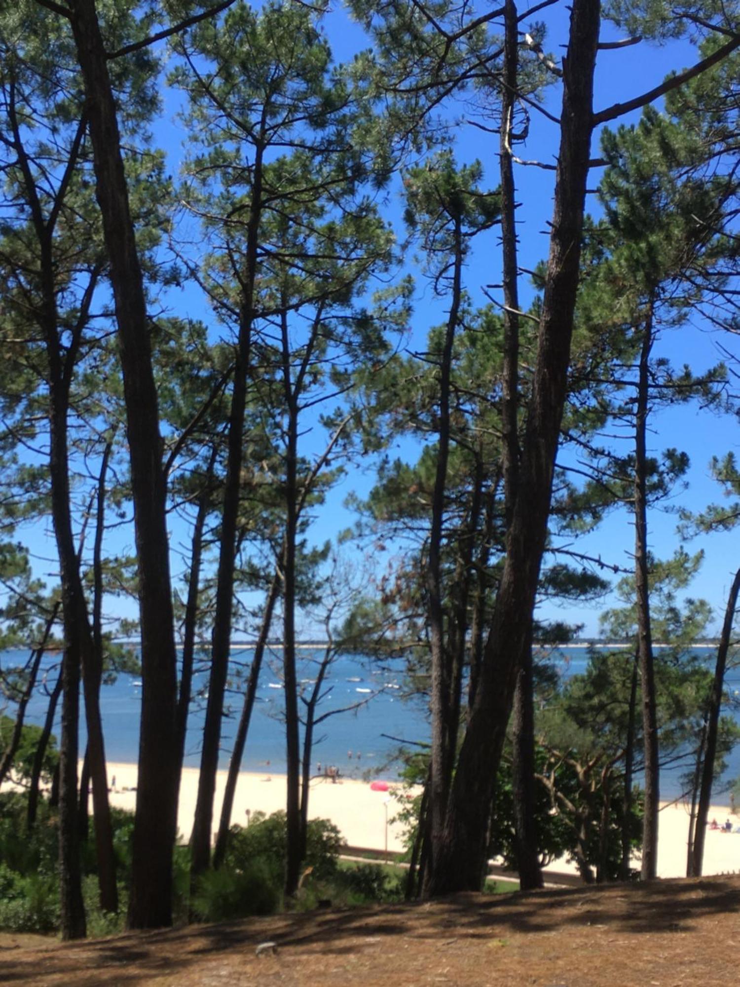 Appartement Spacieux Arcachon Eksteriør billede